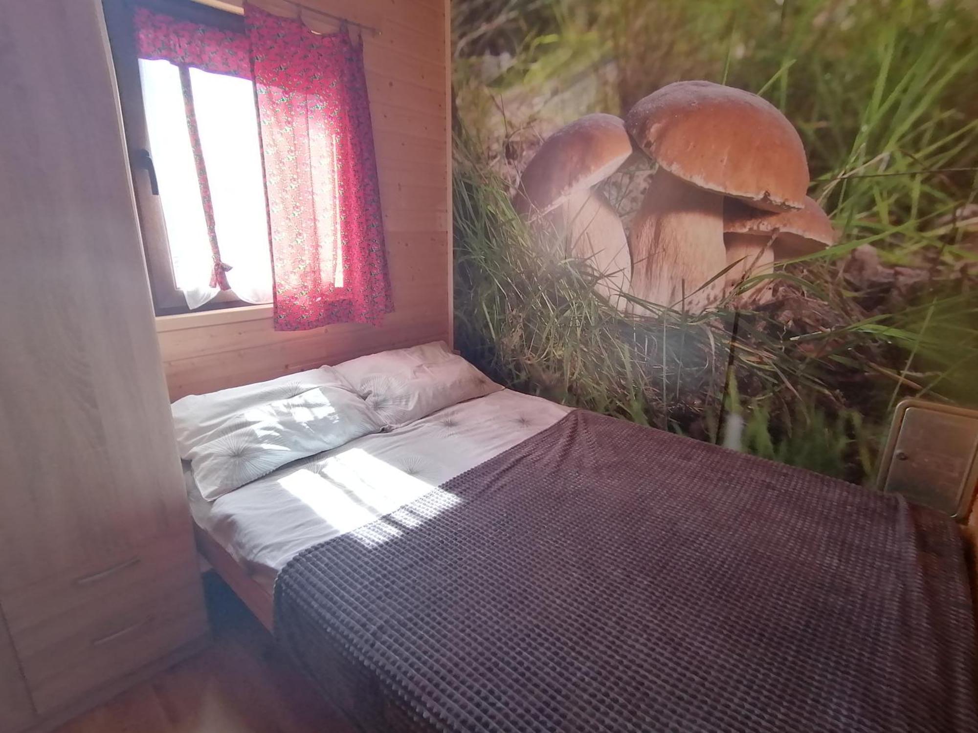 Domki Zlota Rybka Nad Jeziorem Solinskim Zawóz Екстериор снимка